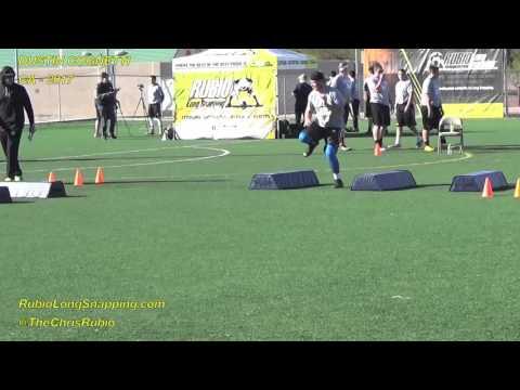 Video of Vegas XXVII -Agility 