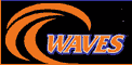 program logo