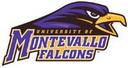 University of Montevallo