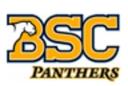 Birmingham-Southern College