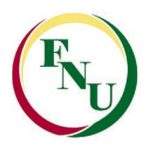 Florida National University logo