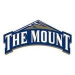 Mount St. Mary's University logo