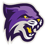 Bethel University - Tennessee logo